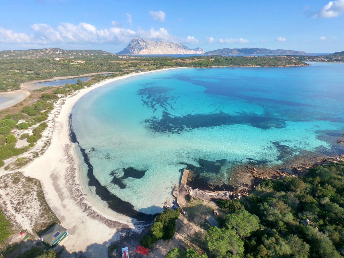 Iss Travel, Ambra Apartments - 800 M From La Cinta Beach 圣特奥多罗 外观 照片